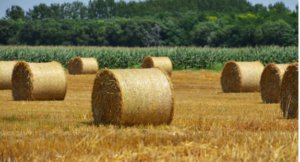 farm baler twine